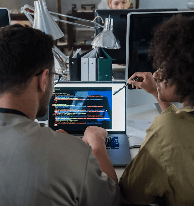 Renyux development process